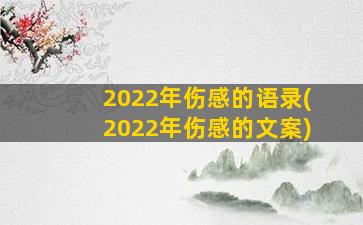 2022年伤感的语录(2022年伤感的文案)