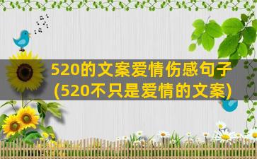 520的文案爱情伤感句子(520不只是爱情的文案)