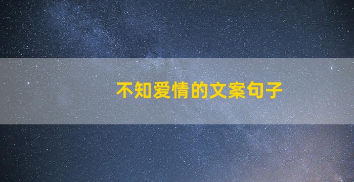 不知爱情的文案句子