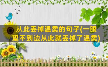 从此丢掉温柔的句子(一眼望不到边从此就丢掉了温柔)