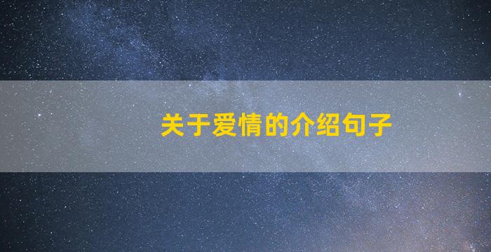 关于爱情的介绍句子