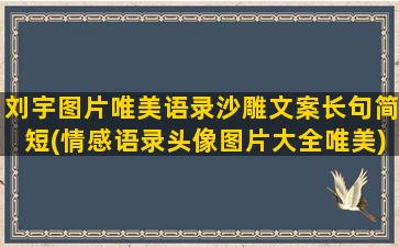 刘宇图片唯美语录沙雕文案长句简短(情感语录头像图片大全唯美)