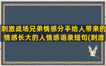 刺激战场兄弟情感分手给人带来的情感长大的人情感语录短句(刺激战场兄弟游戏)