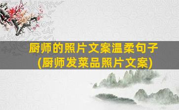 厨师的照片文案温柔句子(厨师发菜品照片文案)