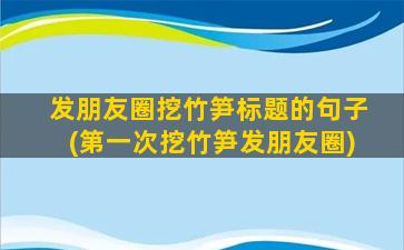 发朋友圈挖竹笋标题的句子(第一次挖竹笋发朋友圈)