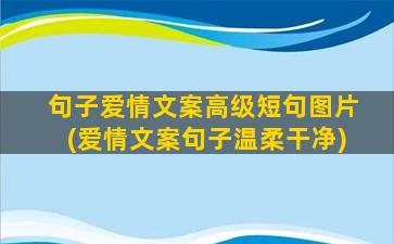 句子爱情文案高级短句图片(爱情文案句子温柔干净)