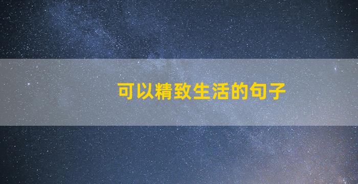 可以精致生活的句子