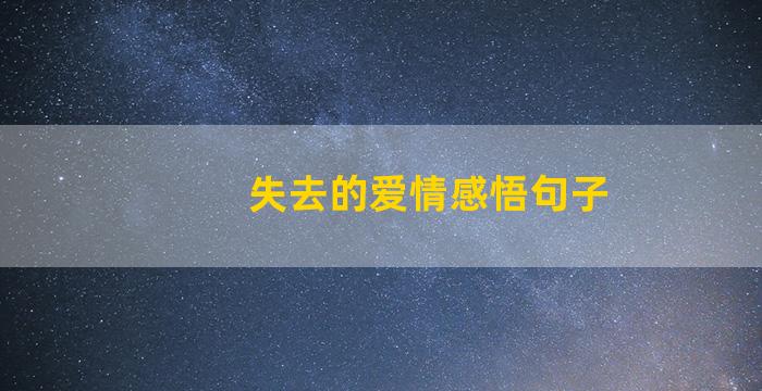 失去的爱情感悟句子