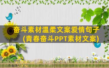 奋斗素材温柔文案爱情句子(青春奋斗PPT素材文案)