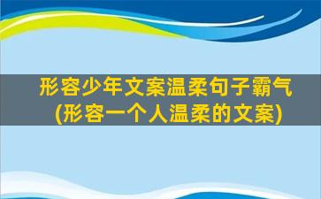 形容少年文案温柔句子霸气(形容一个人温柔的文案)