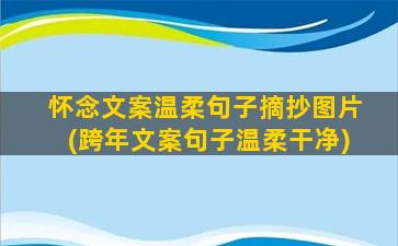 怀念文案温柔句子摘抄图片(跨年文案句子温柔干净)