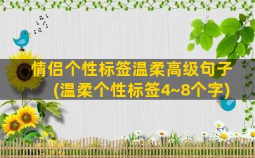 情侣个性标签温柔高级句子(温柔个性标签4~8个字)