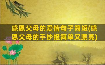 感恩父母的爱情句子简短(感恩父母的手抄报简单又漂亮)