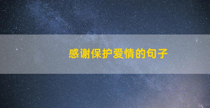 感谢保护爱情的句子