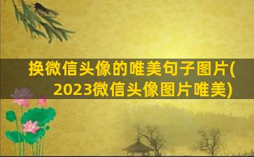 换微信头像的唯美句子图片(2023微信头像图片唯美)