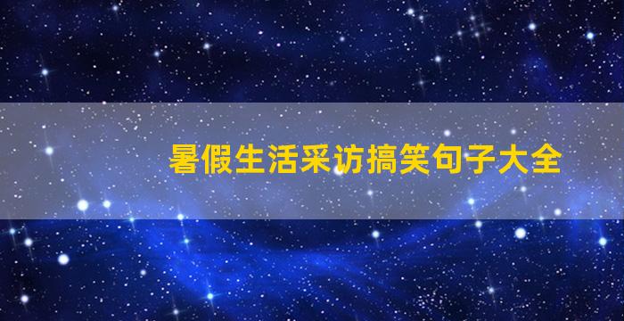 暑假生活采访搞笑句子大全