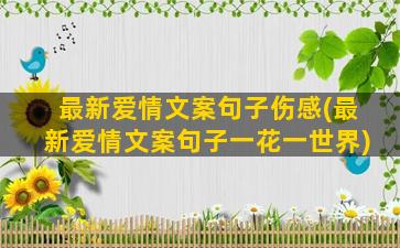 最新爱情文案句子伤感(最新爱情文案句子一花一世界)