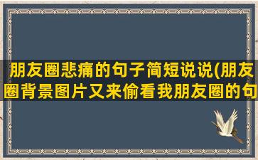 朋友圈悲痛的句子简短说说(朋友圈背景图片又来偷看我朋友圈的句子)