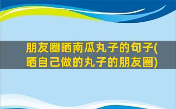 朋友圈晒南瓜丸子的句子(晒自己做的丸子的朋友圈)