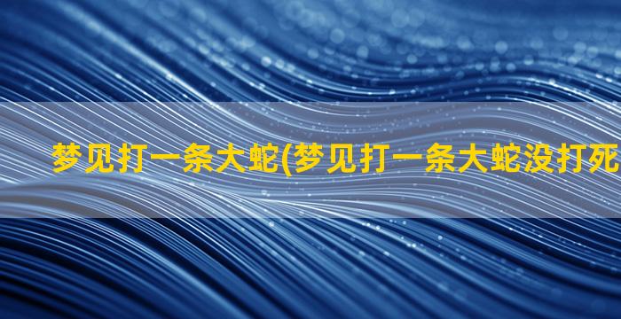 梦见打一条大蛇(梦见打一条大蛇没打死追这自己)