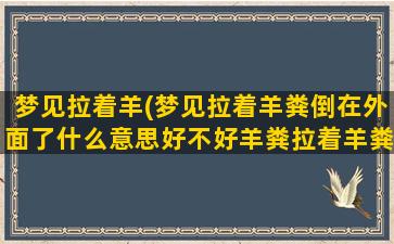 梦见拉着羊(梦见拉着羊粪倒在外面了什么意思好不好羊粪拉着羊粪)