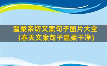 温柔亲切文案句子图片大全(春天文案句子温柔干净)