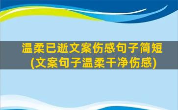 温柔已逝文案伤感句子简短(文案句子温柔干净伤感)