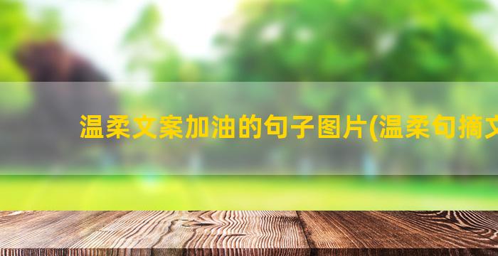 温柔文案加油的句子图片(温柔句摘文案)