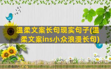 温柔文案长句现实句子(温柔文案ins小众浪漫长句)