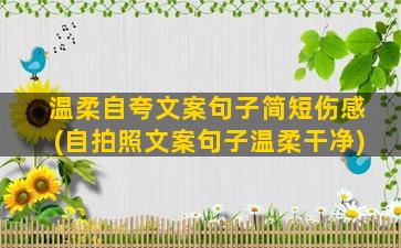 温柔自夸文案句子简短伤感(自拍照文案句子温柔干净)