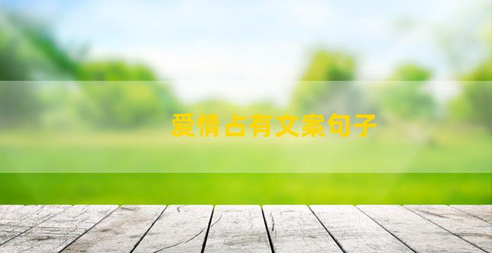 爱情占有文案句子