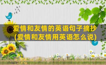 爱情和友情的英语句子摘抄(爱情和友情用英语怎么说)