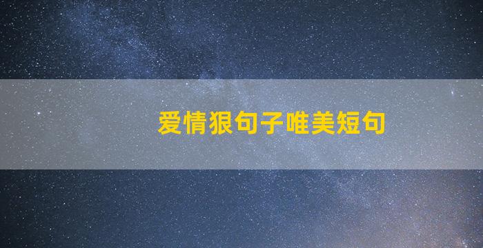 爱情狠句子唯美短句