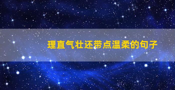 理直气壮还带点温柔的句子