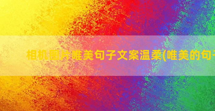 相机图片唯美句子文案温柔(唯美的句子图片)