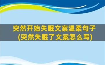 突然开始失眠文案温柔句子(突然失眠了文案怎么写)