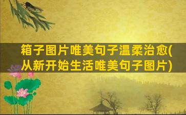 箱子图片唯美句子温柔治愈(从新开始生活唯美句子图片)