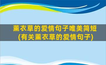 薰衣草的爱情句子唯美简短(有关薰衣草的爱情句子)