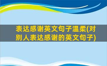 表达感谢英文句子温柔(对别人表达感谢的英文句子)