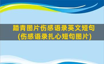 踏青图片伤感语录英文短句(伤感语录扎心短句图片)