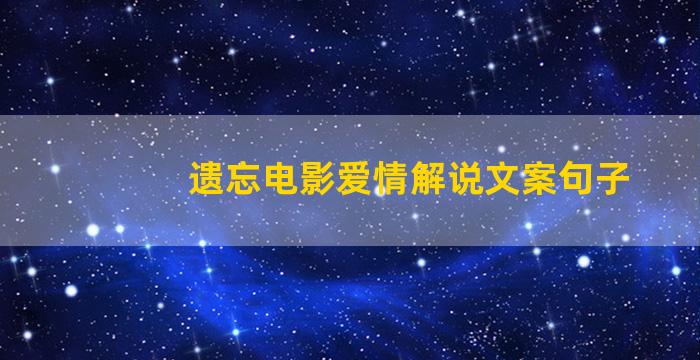 遗忘电影爱情解说文案句子