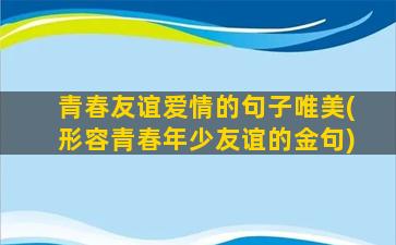 青春友谊爱情的句子唯美(形容青春年少友谊的金句)